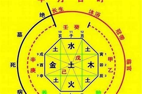 喜神 木|八字入门基础 第六篇 如何判断八字喜用神